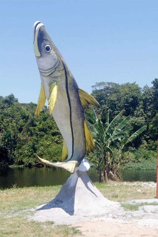 ROBALO